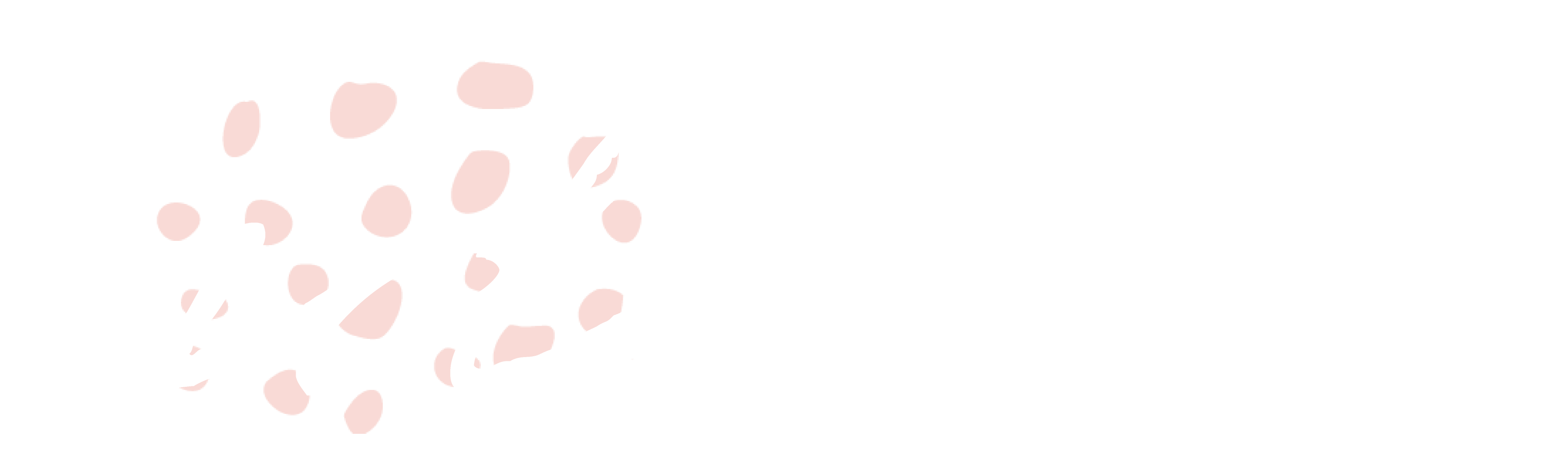 ndlogo